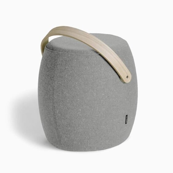 ornare auctor 2 564x564