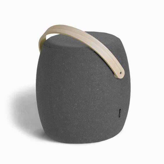 ornare auctor 3 564x564